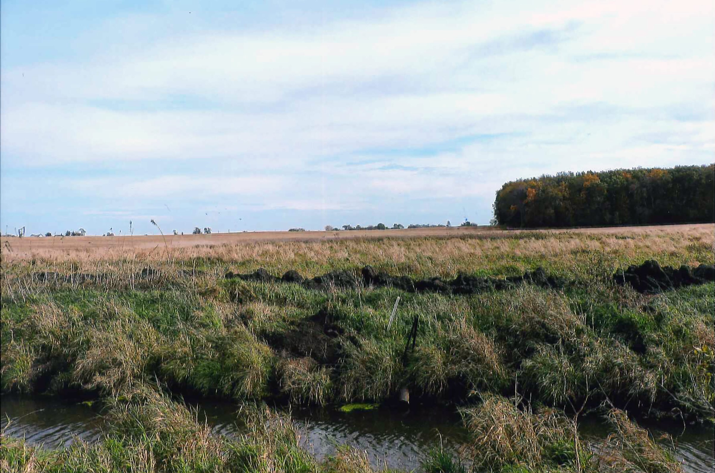 TRACT 4 - LAND AUCTION - 180+/- ACRES OFFERED IN 5 TRACTS IN WHITE COUNTY, INDIANA